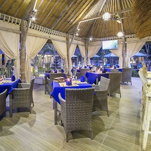 The Palm Grove Villas